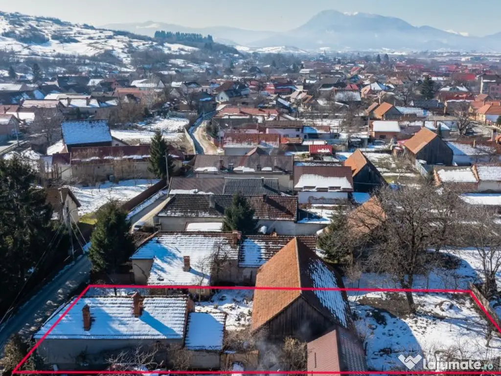 Teren de Vis în Tărlungeni cu Căsuță din Lemn – Li...
