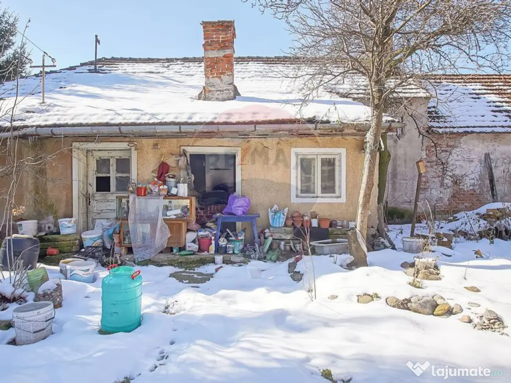 Teren de Vis în Tărlungeni cu Căsuță din Lemn – Li...