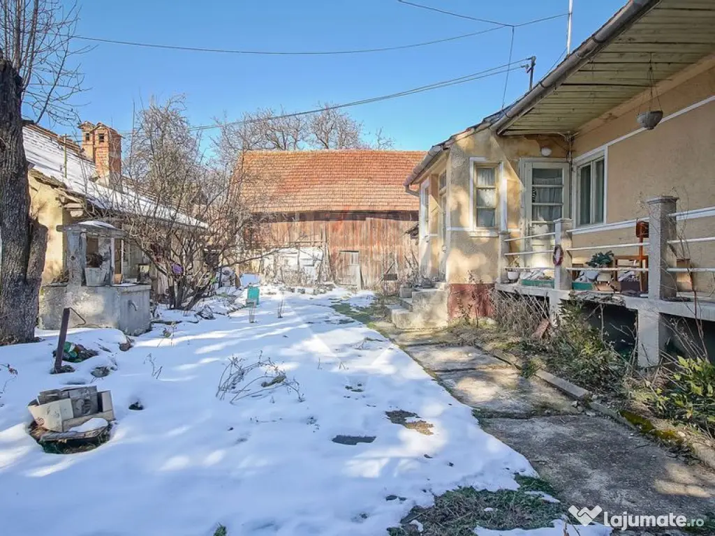 Teren de Vis în Tărlungeni cu Căsuță din Lemn – Li...