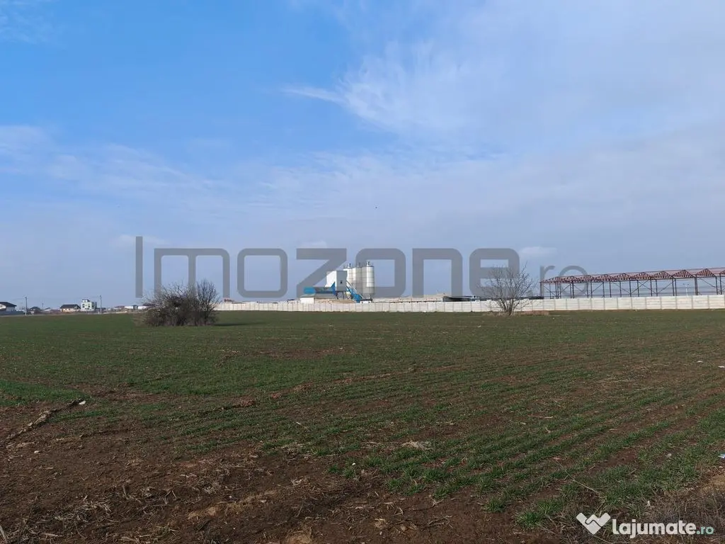 Dragomiresti Valea - Langa Centura, teren 31.200 mp, 35E/mp 