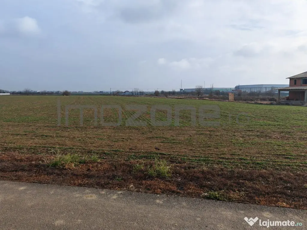Dragomiresti Valea - Langa Centura, teren 31.200 mp, 35E/mp 