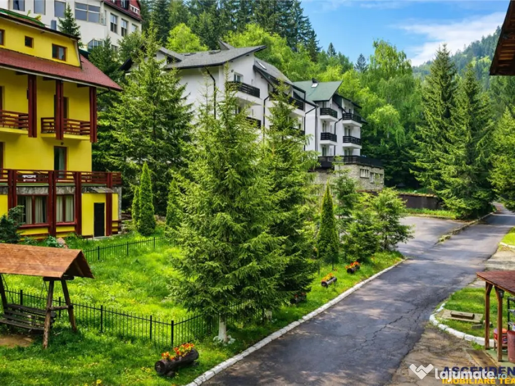 Tur LIVE! Refugiu in ambientul special al statiunii Poiana B 