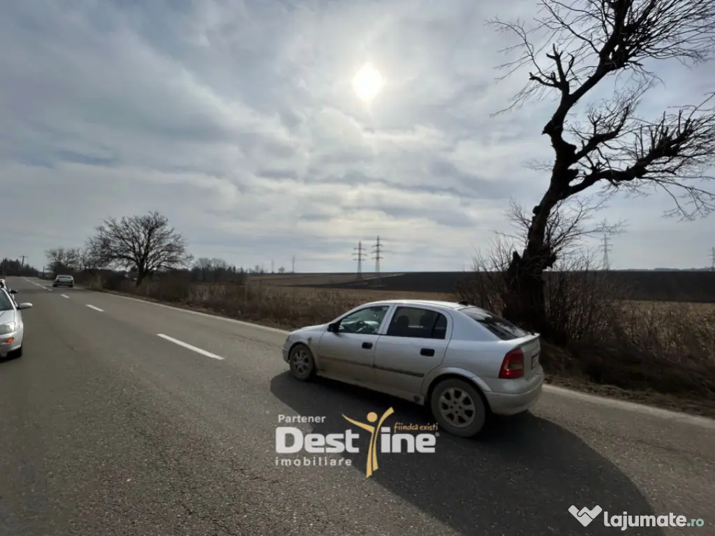 Teren de vanzare Caciulesti 10.000 Euro 1300mp 