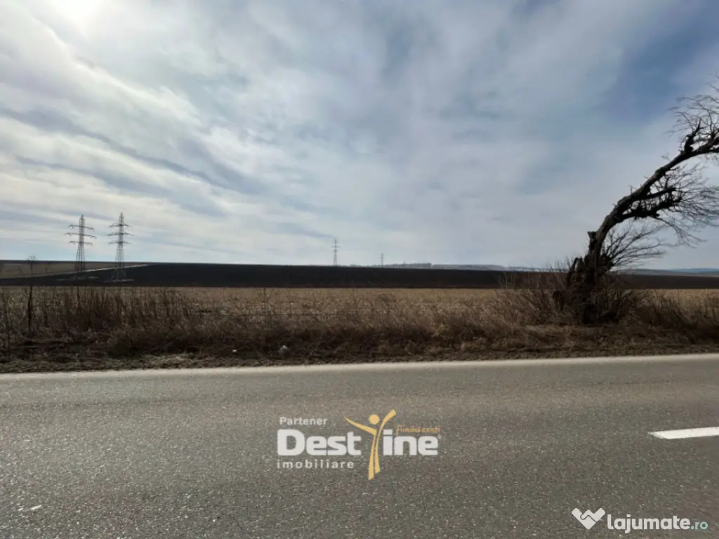 Teren de vanzare Caciulesti 10.000 Euro 1300mp 