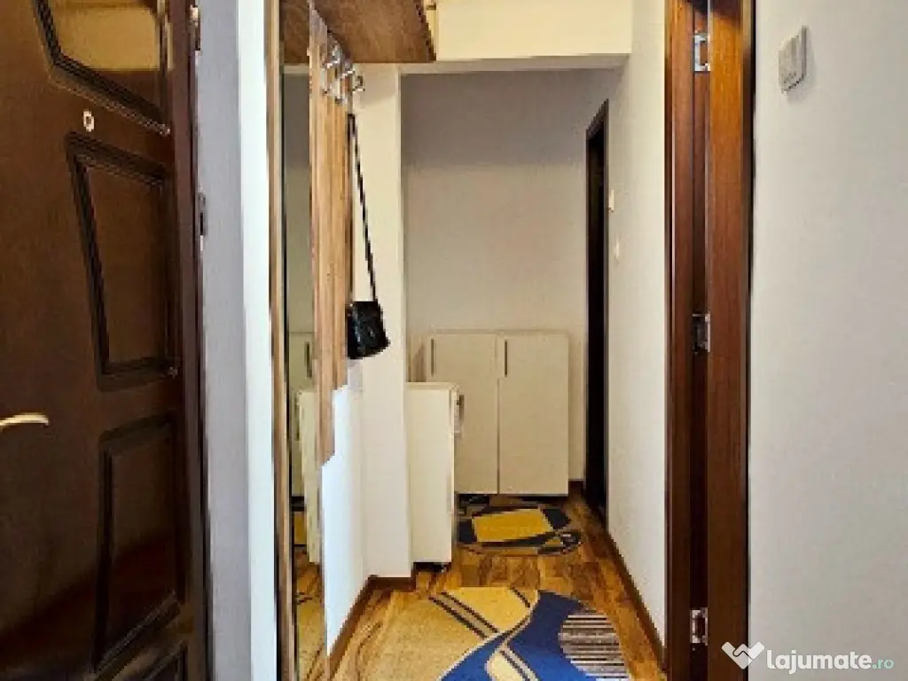 Apartament 1 camera cochet,ingrijit,mobilat si utilat,zona Orion 