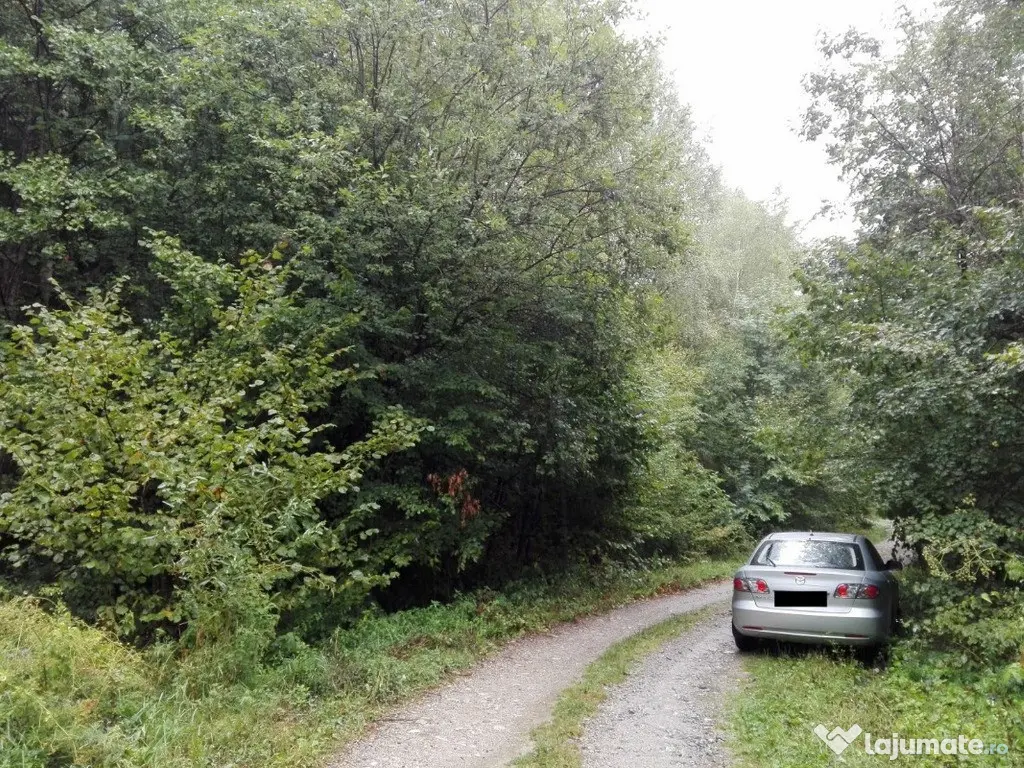 Proprietate rară în inima Retezatului – 5.700 mp teren intravilan 