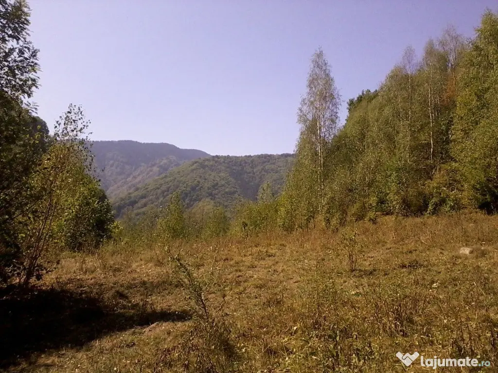 Proprietate rară în inima Retezatului – 5.700 mp teren intravilan 