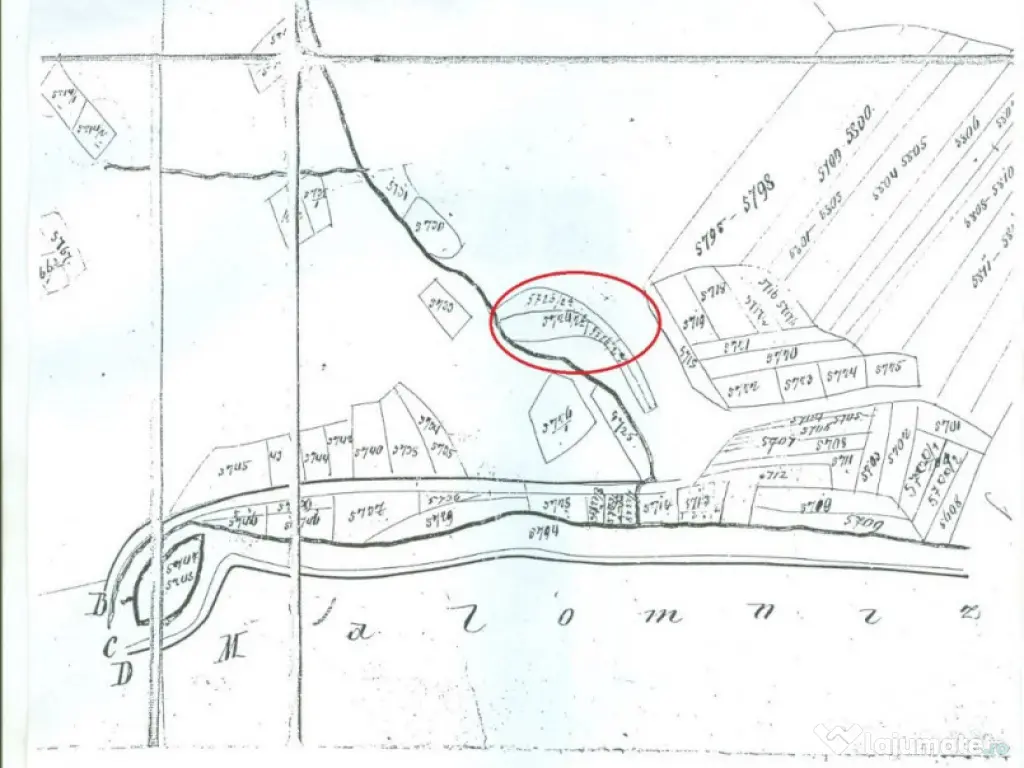 Proprietate rară în inima Retezatului – 5.700 mp teren intravilan 