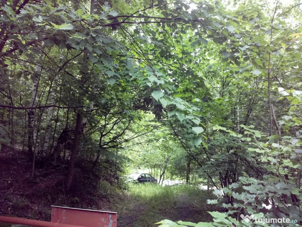 Proprietate rară în inima Retezatului – 5.700 mp teren intravilan 