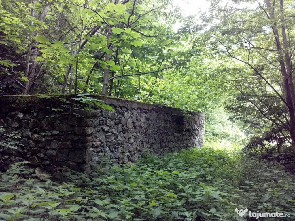 Proprietate rară în inima Retezatului – 5.700 mp teren intravilan 