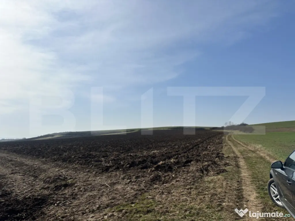 TEREN ARABIL EXTRAVILAN 15.000 mp SANTUHALM 