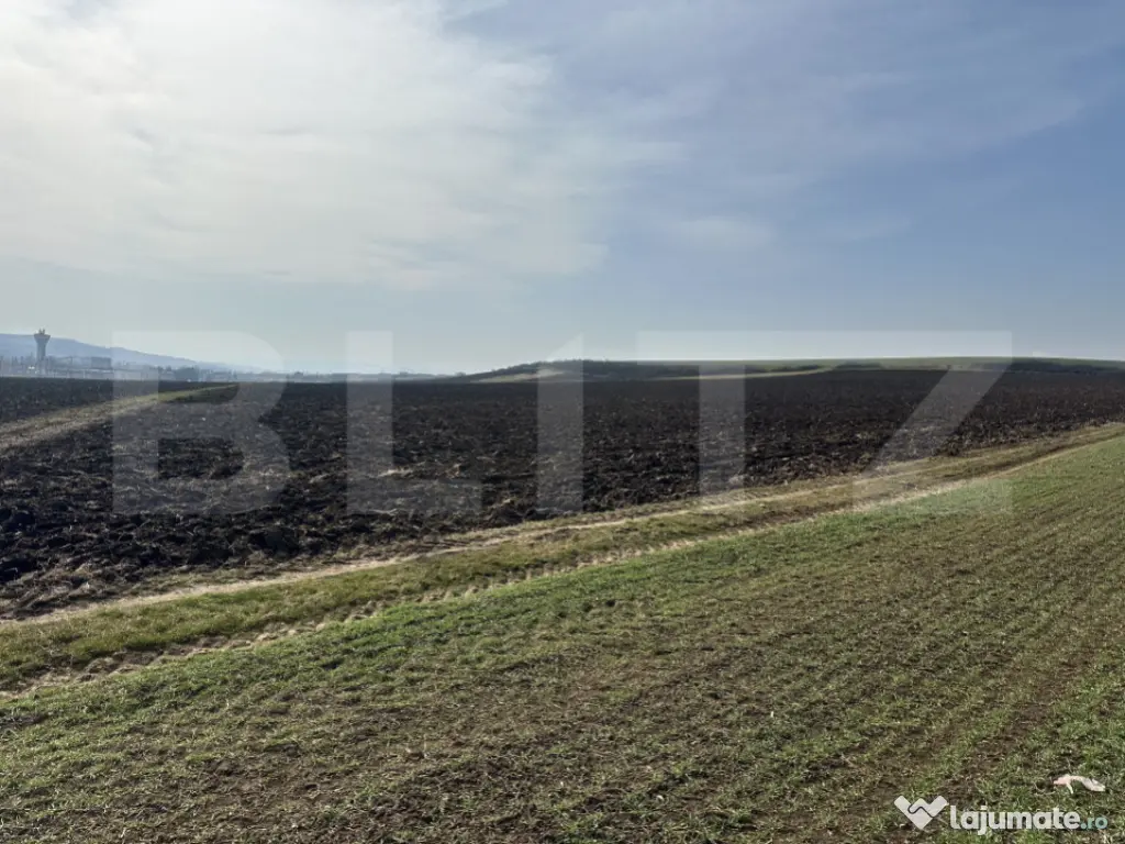 TEREN ARABIL EXTRAVILAN 15.000 mp SANTUHALM 