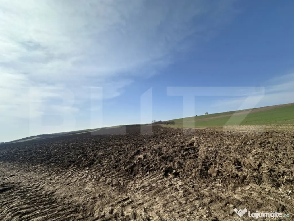 TEREN ARABIL EXTRAVILAN 15.000 mp SANTUHALM 