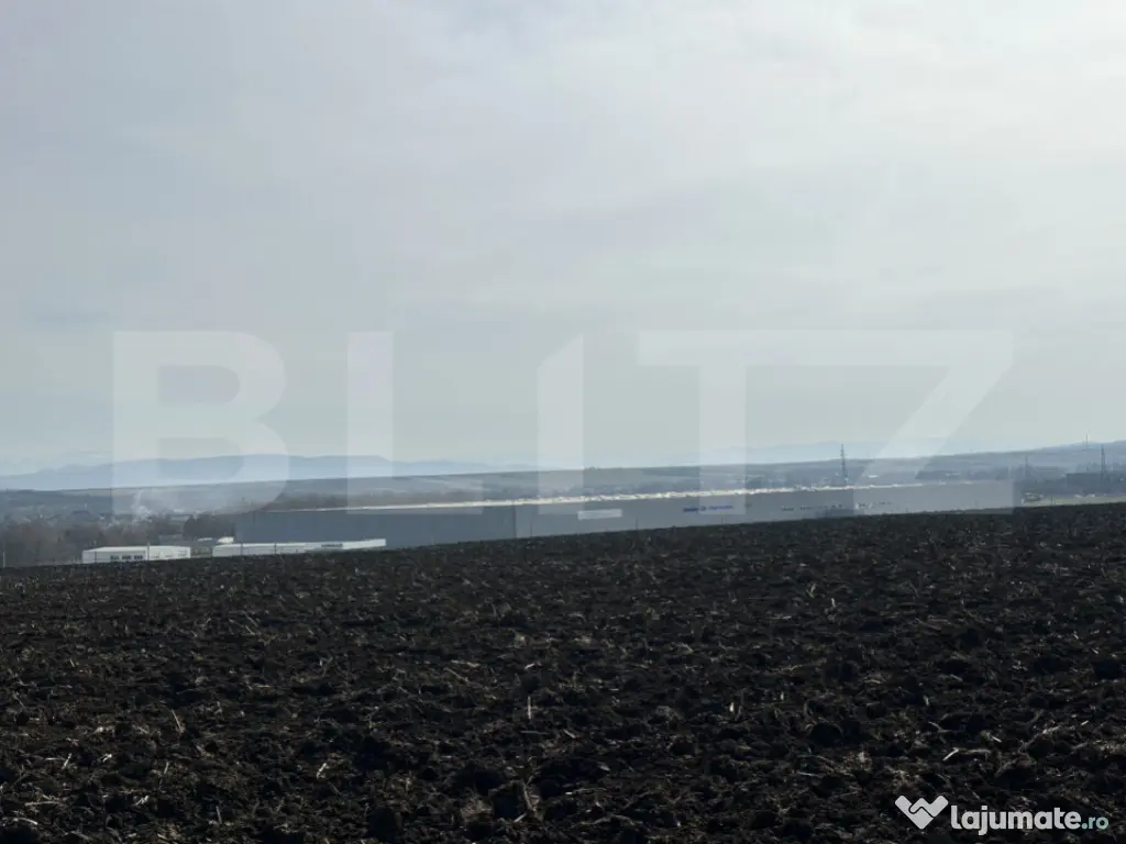 TEREN ARABIL EXTRAVILAN 15.000 mp SANTUHALM 