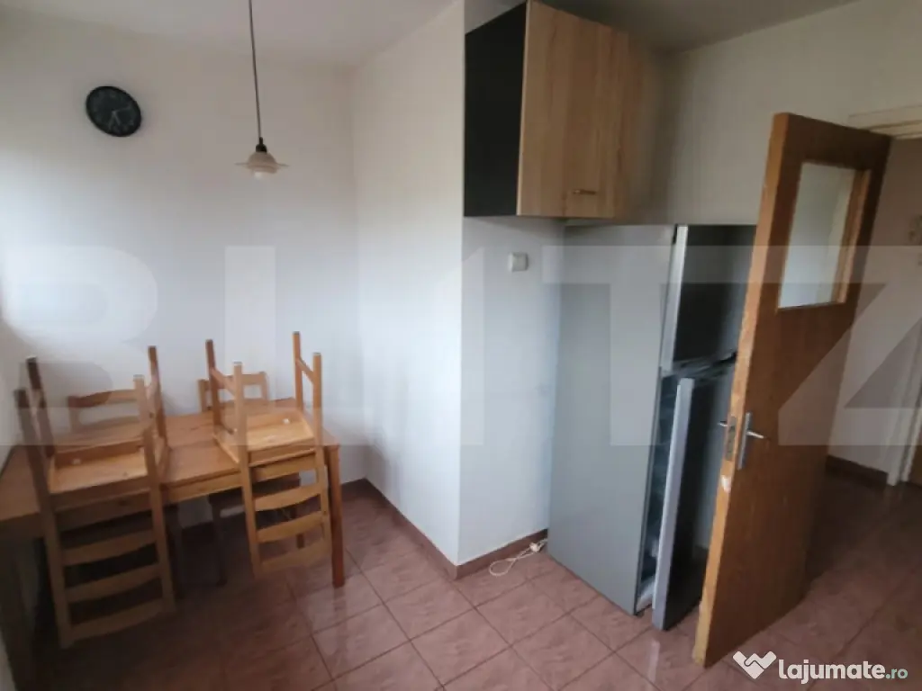 Apartament cu 2 camere, spatiu birouri, Brazda lui Novac 