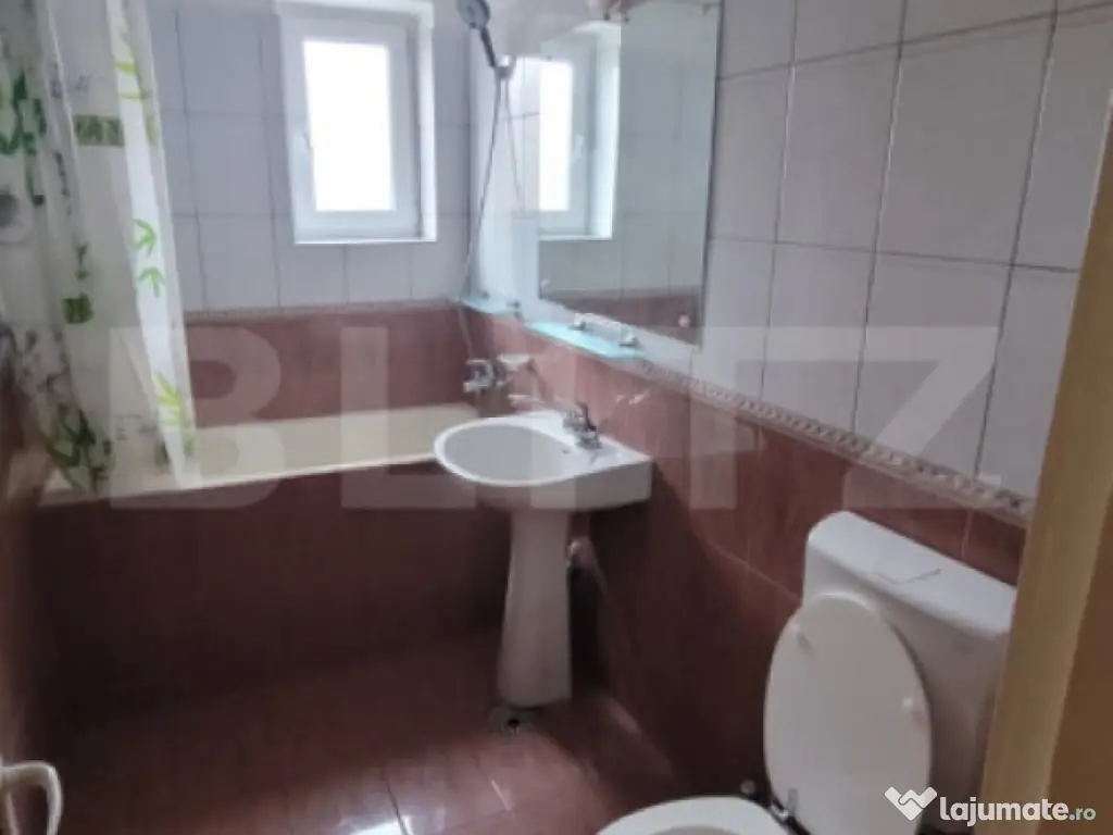 Apartament cu 2 camere, spatiu birouri, Brazda lui Novac 