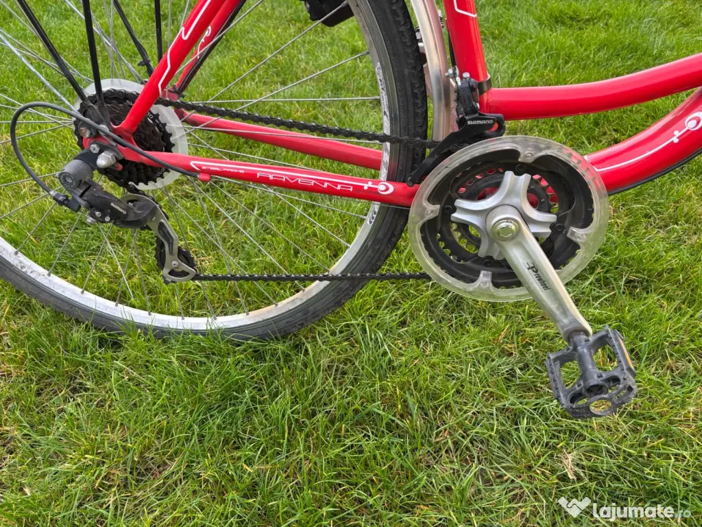Bicicleta dama Neuzer 