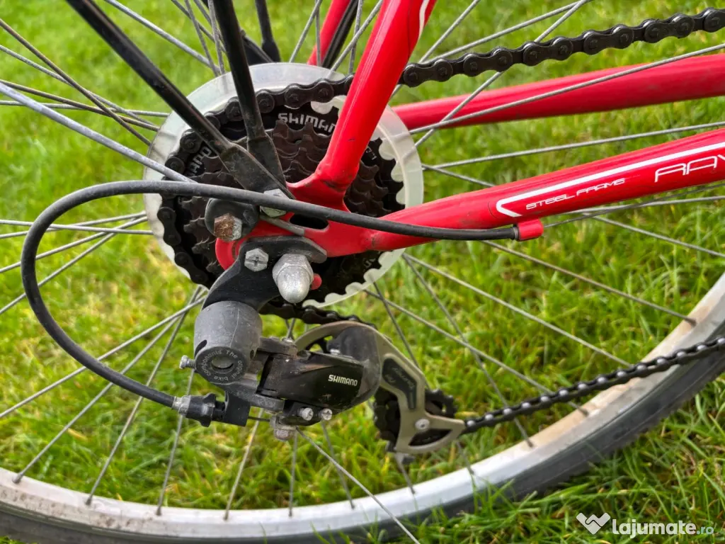 Bicicleta dama Neuzer 