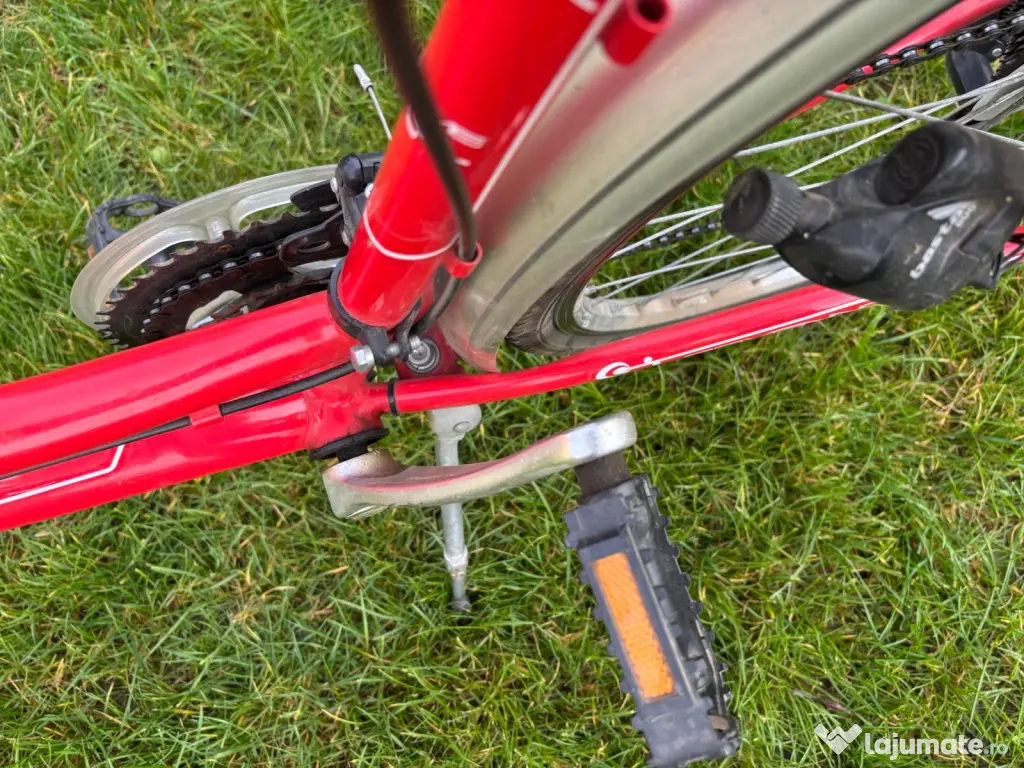 Bicicleta dama Neuzer 