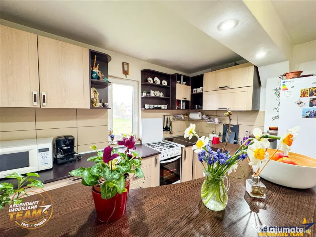 Ansamblu:doua case anexe domeniu de 10.101mp, Intorsura Buza 