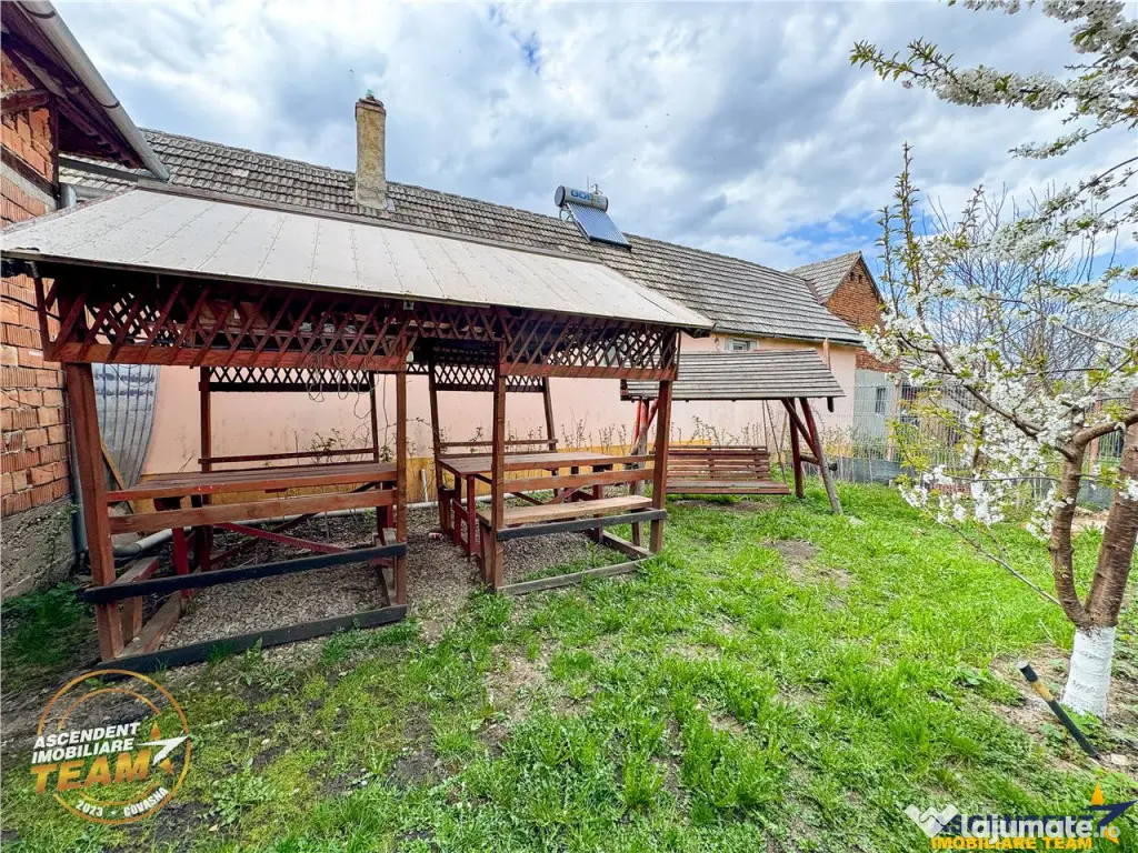 Ansamblu:doua case anexe domeniu de 10.101mp, Intorsura Buza 