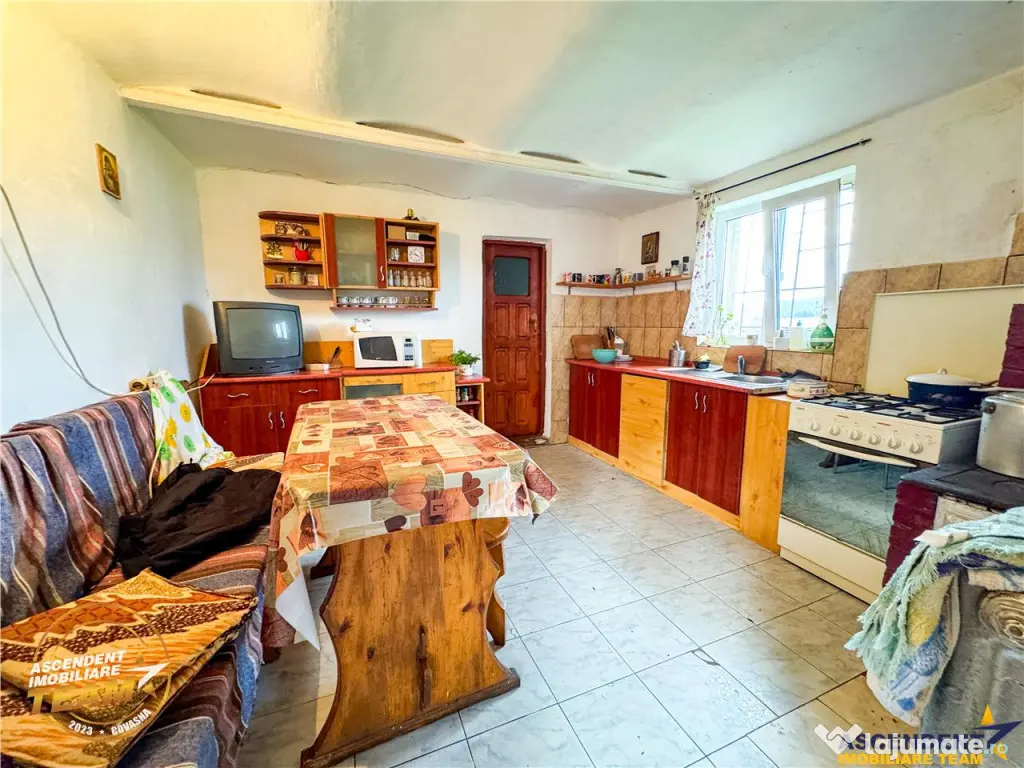 Ansamblu:doua case anexe domeniu de 10.101mp, Intorsura Buza 