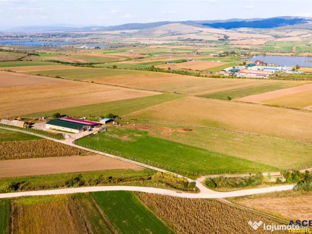 FILM! 18.000 mp, extravilan, agricol constructii:ferma,inve 