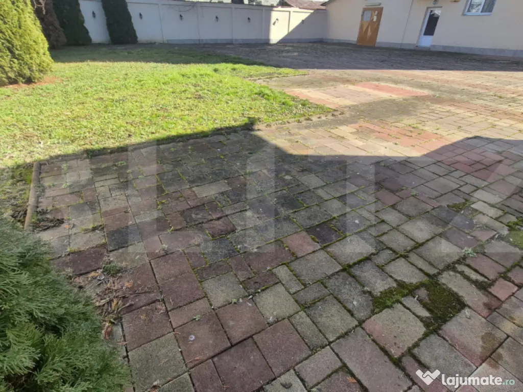 Spatii comerciale de inchiriat, 773 mp, zona Lucian Blaga 