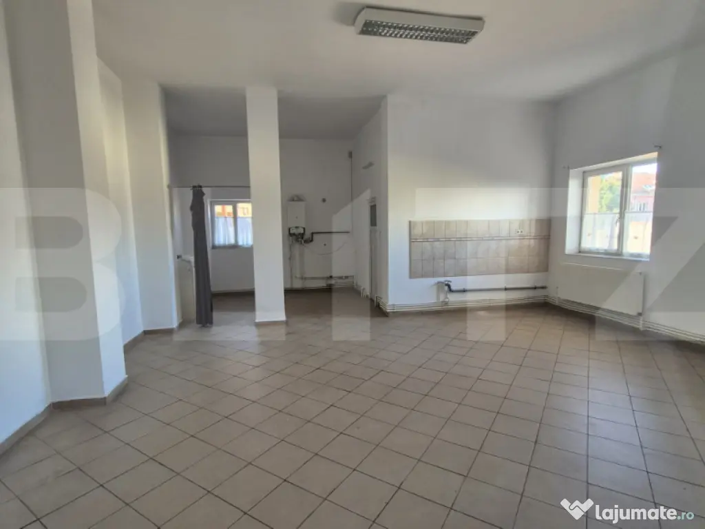 Spatii comerciale de inchiriat, 773 mp, zona Lucian Blaga 