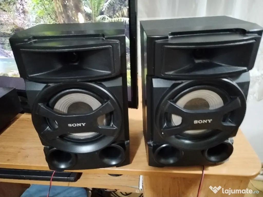 Boxe Sony ss ec69i de 50 W 
