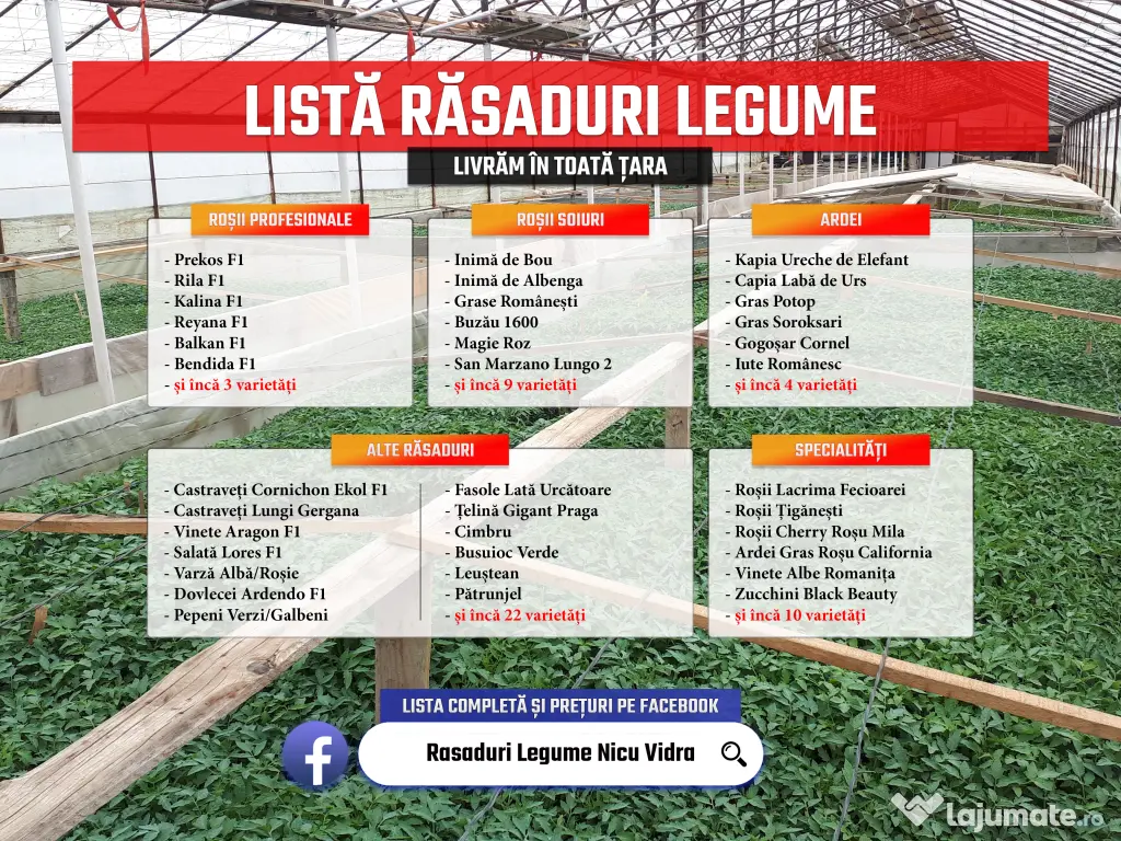 Rasaduri legume : Rasad rosii / tomate ardei castraveti vinete salata 