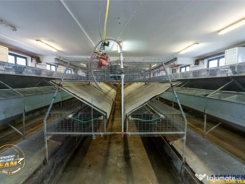 FILM! Ferma de iepuri,Malnas,Covasna: domeniu:comercial indu