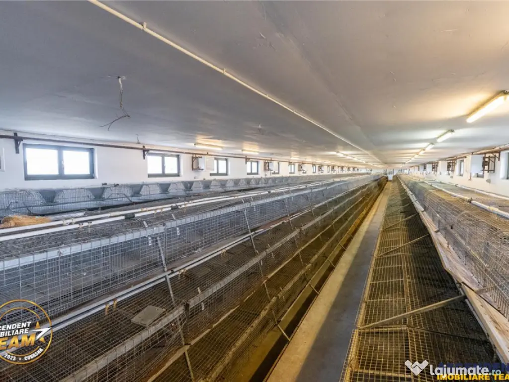 FILM! Ferma de iepuri,Malnas,Covasna: domeniu:comercial indu