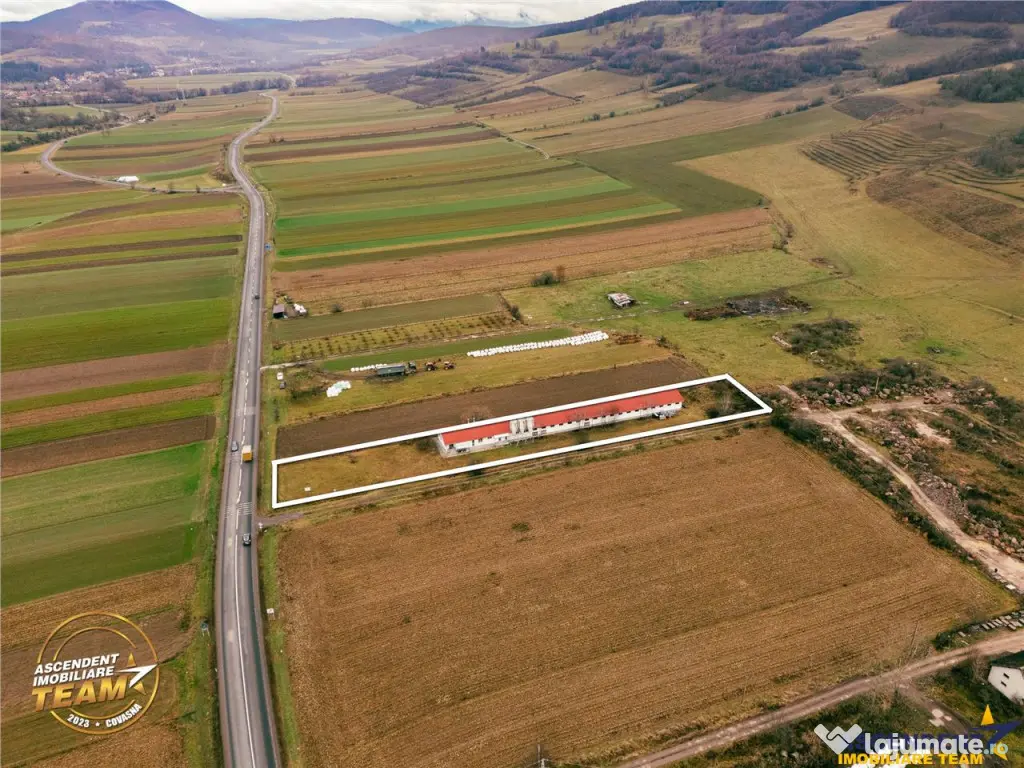 FILM! Ferma de iepuri,Malnas,Covasna: domeniu:comercial indu