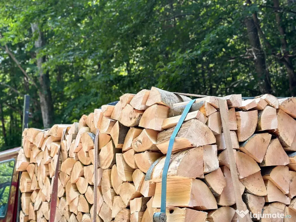 Vindem lemne pentru orice buzunar