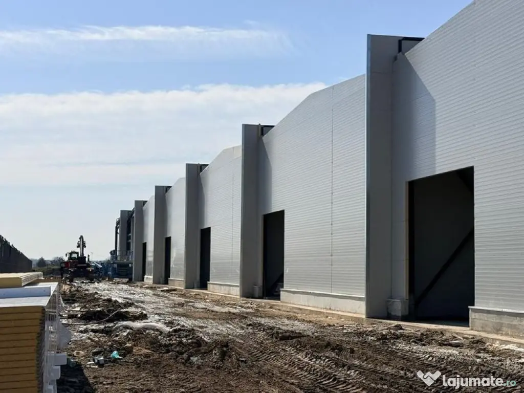 7 hale noi 2026 Afumati- Petrachioaia 