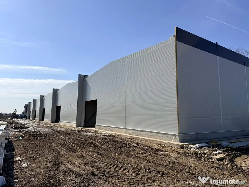 7 hale noi 2026 Afumati- Petrachioaia 