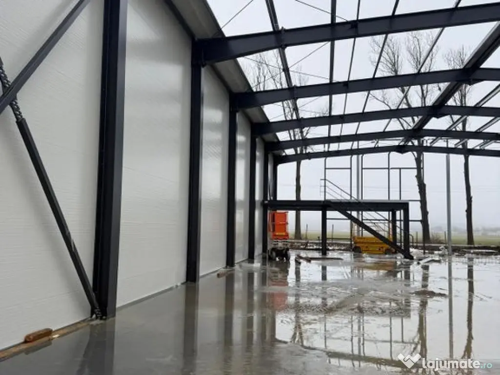 7 hale noi 2026 Afumati- Petrachioaia 