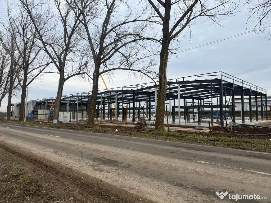 7 hale noi 2026 Afumati- Petrachioaia 