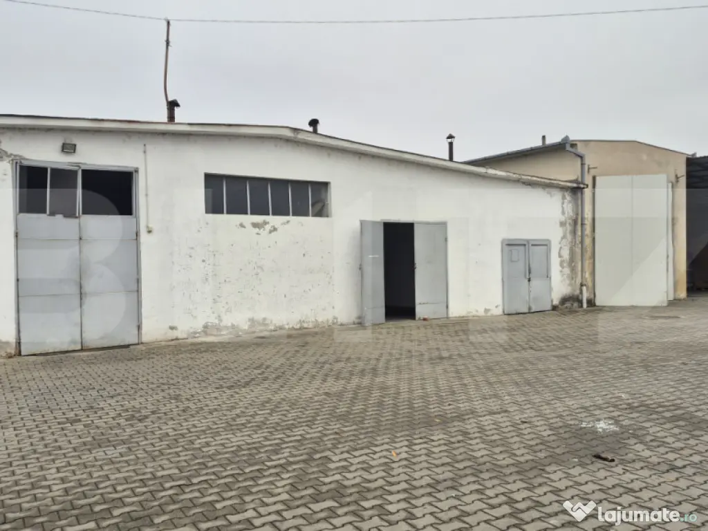 Depozit si hale industriale de inchiriat, total 4000 mp, zon 