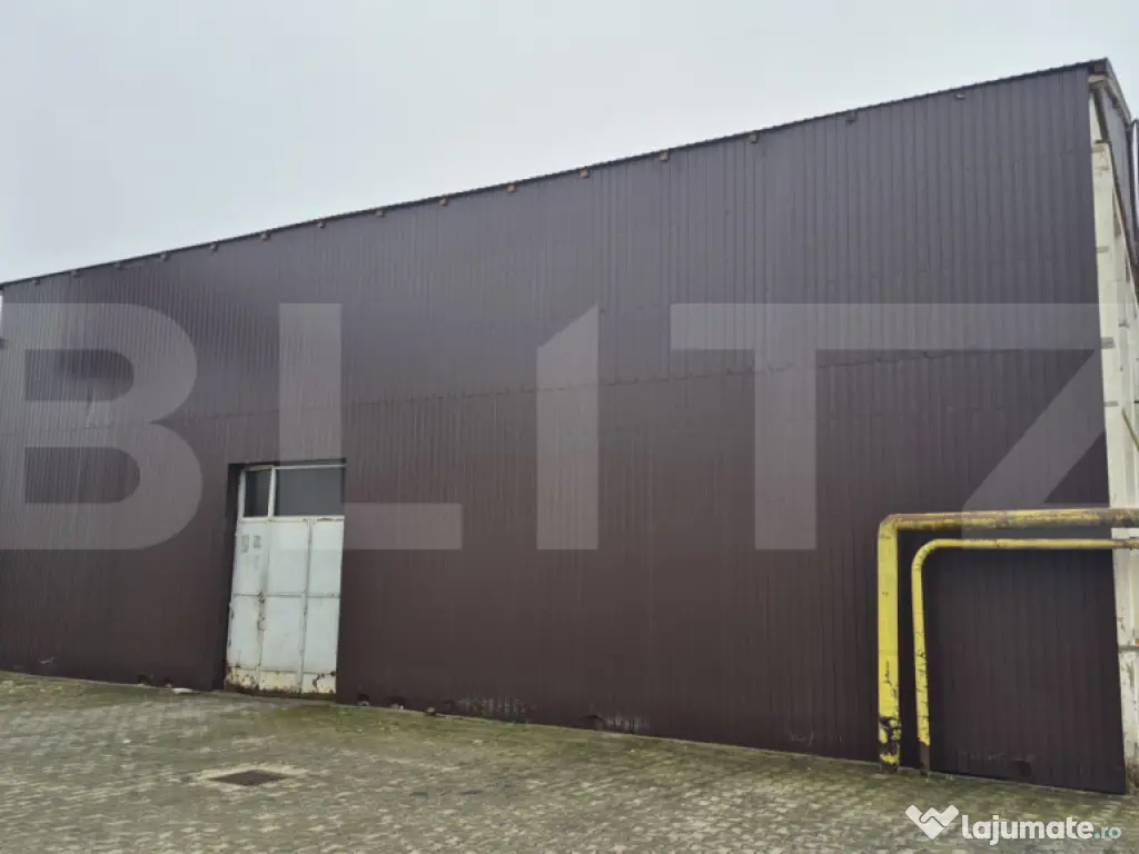 Depozit si hale industriale de inchiriat, total 4000 mp, zon 