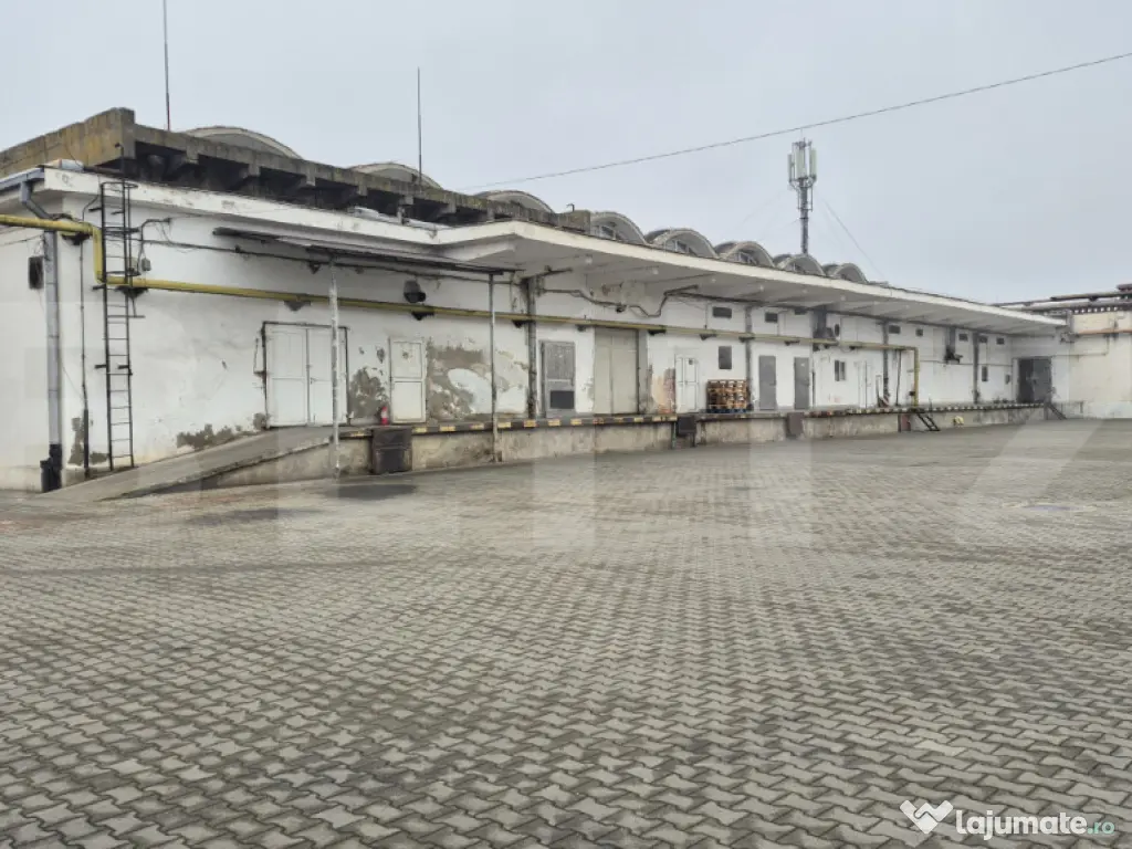 Depozit si hale industriale de inchiriat, total 4000 mp, zon 