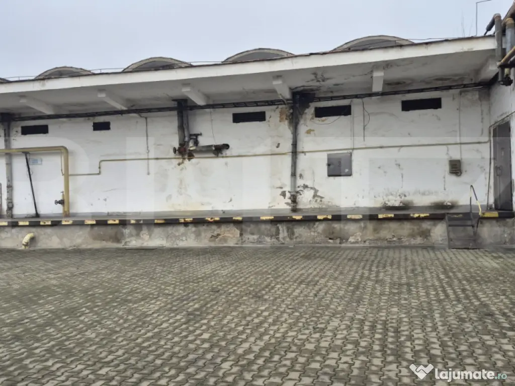 Depozit si hale industriale de inchiriat, total 4000 mp, zon 