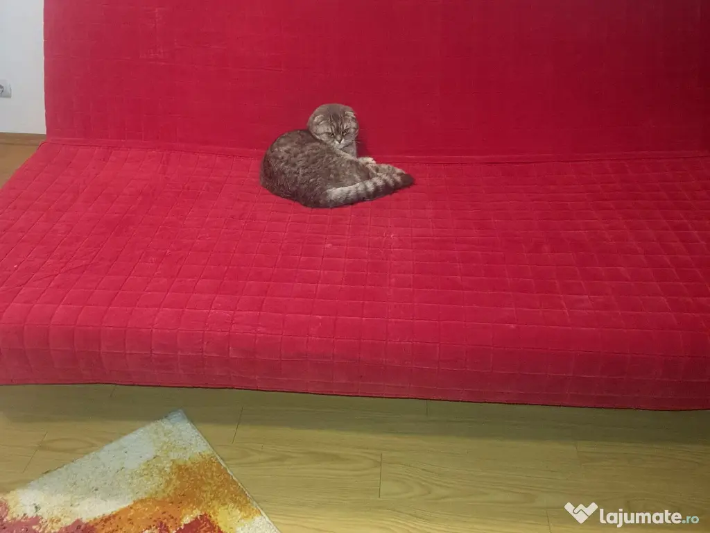 Canapea extensibila IKEA NYHAMN + 2 huse + topper (optional) 