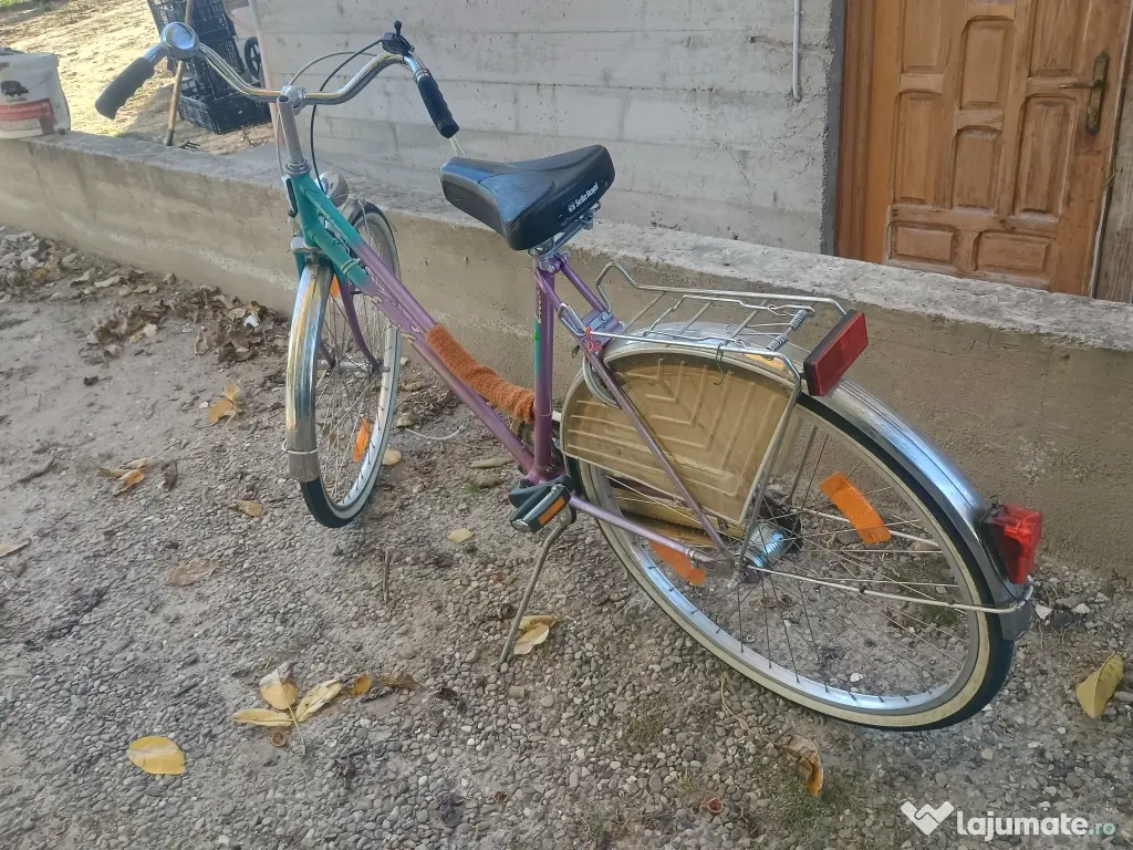 Biciclete damă și bărbați. 