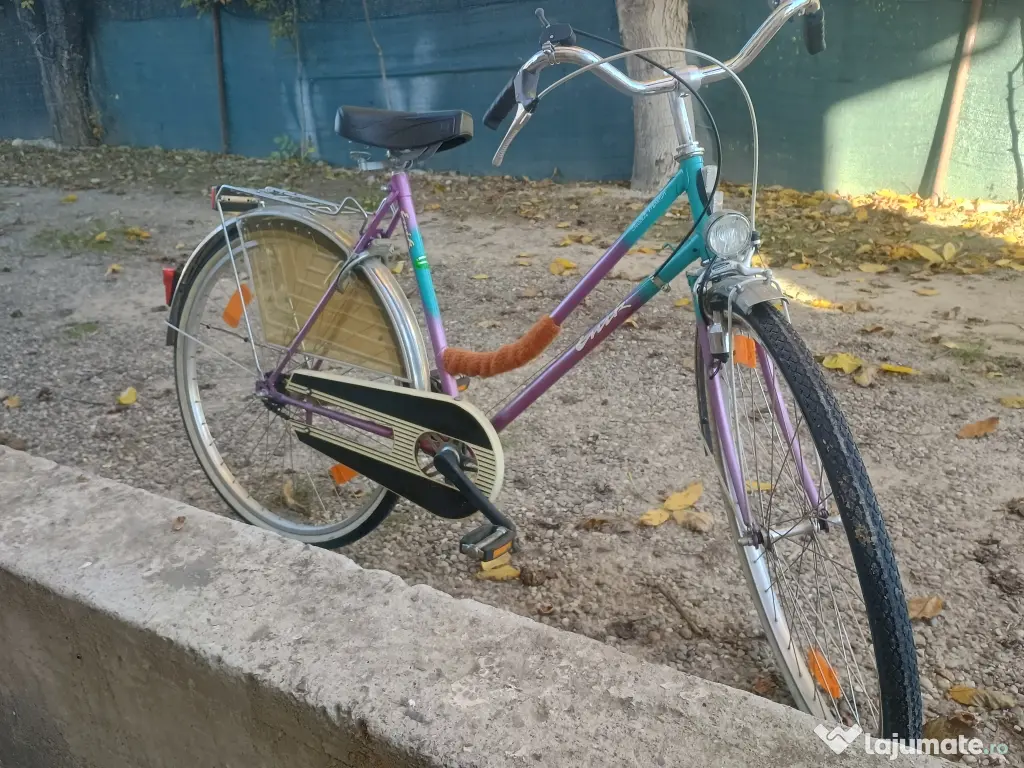 Biciclete damă și bărbați. 