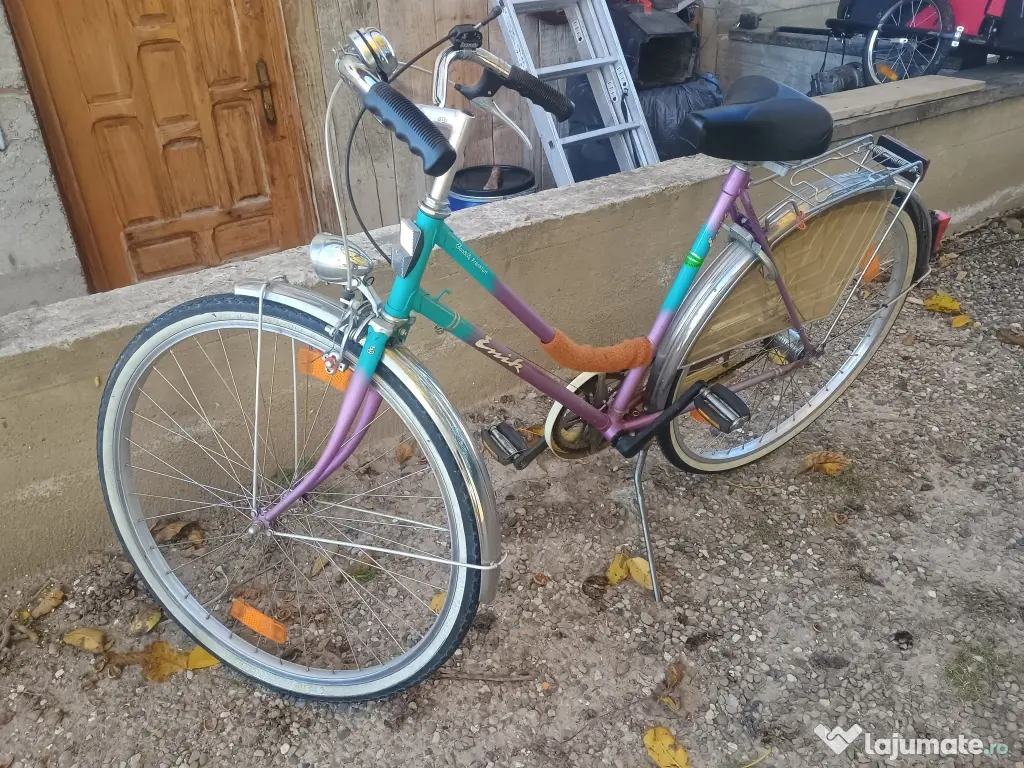 Biciclete damă și bărbați. 