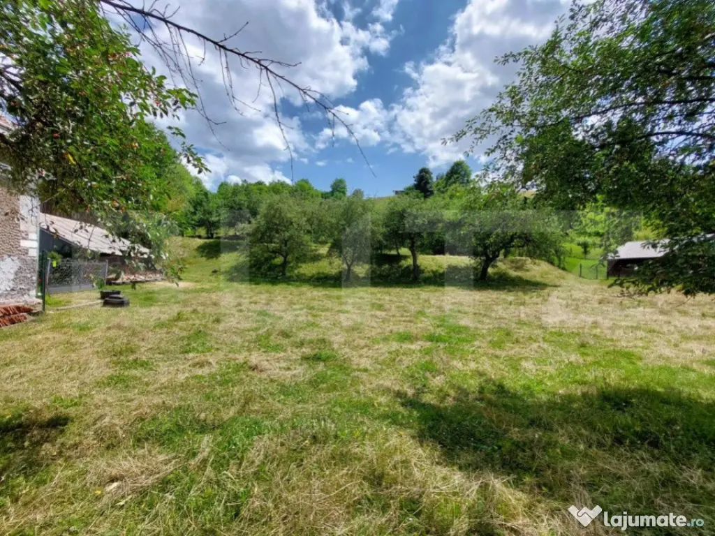 Casa de 120 mp si 1ha teren in Doroteia, Suceava 