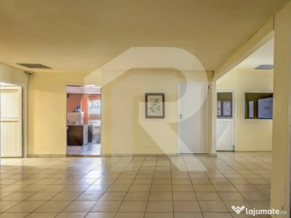 COMPLEX INDUSTRIAL DE VANZARE - PANTELIMON 