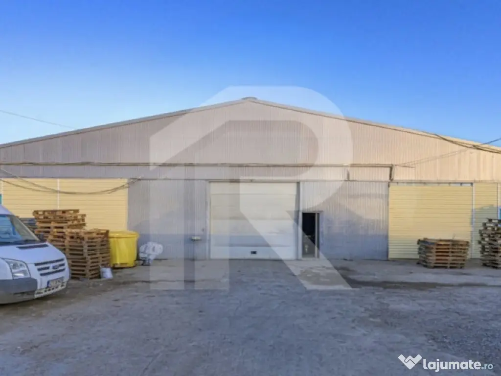 COMPLEX INDUSTRIAL DE VANZARE - PANTELIMON 